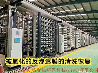 被氧化的反渗透膜的清洗恢复